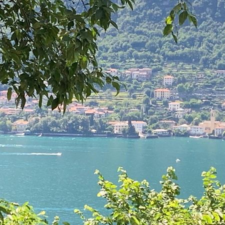 Apartment Casa Dono Il Lago Pognana Lario Exterior photo